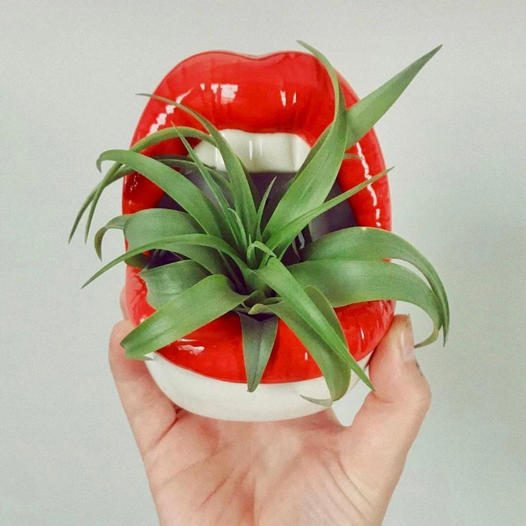 Lips Ceramic Planter - Glova