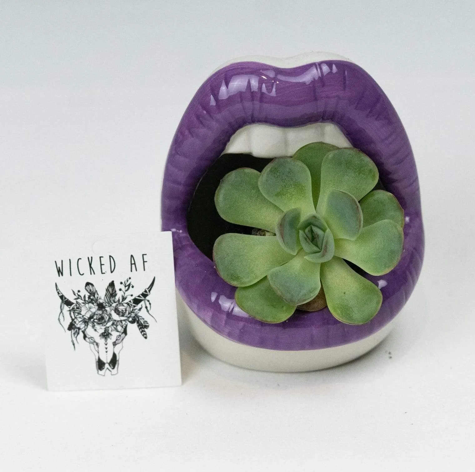 Lips Ceramic Planter - Glova