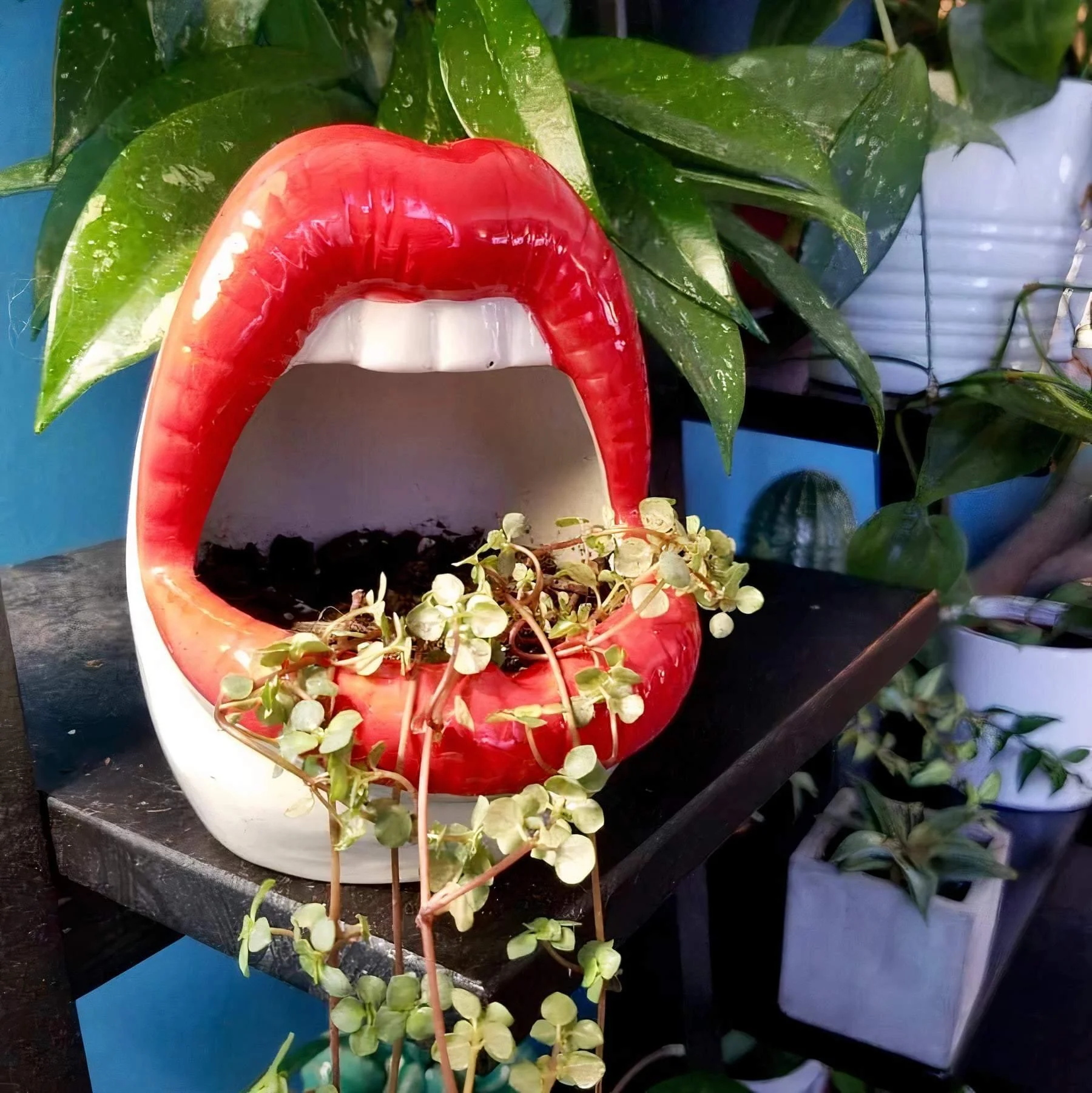 Lips Ceramic Planter - Glova