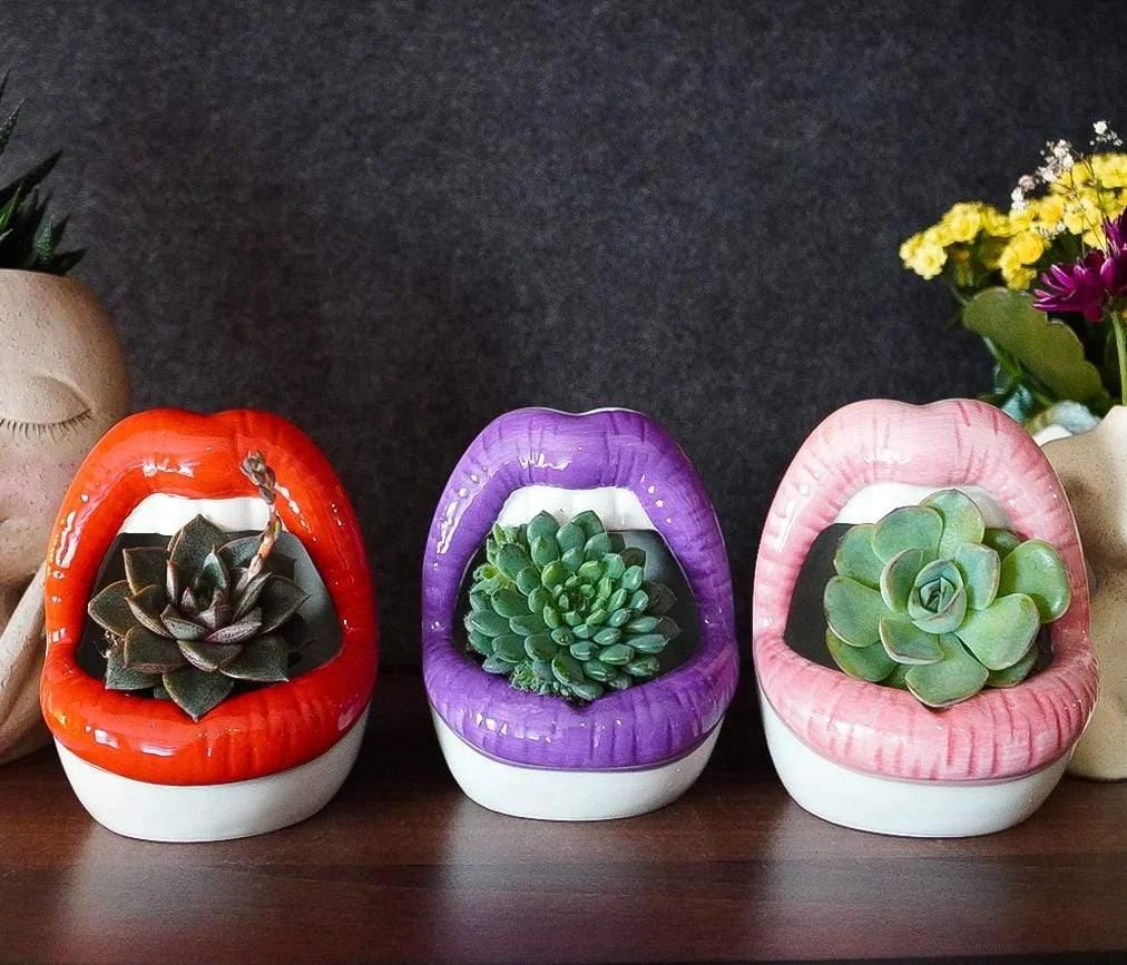 Lips Ceramic Planter - Glova