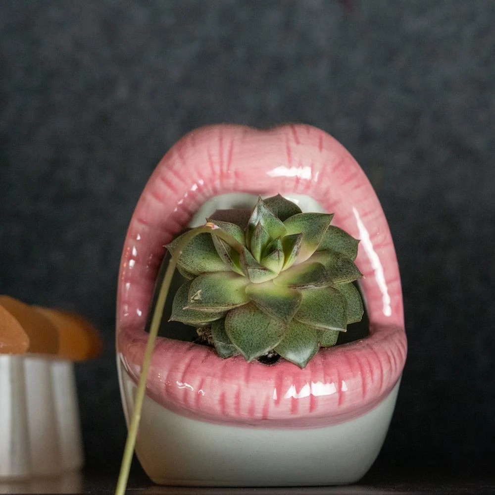 Lips Ceramic Planter - Glova