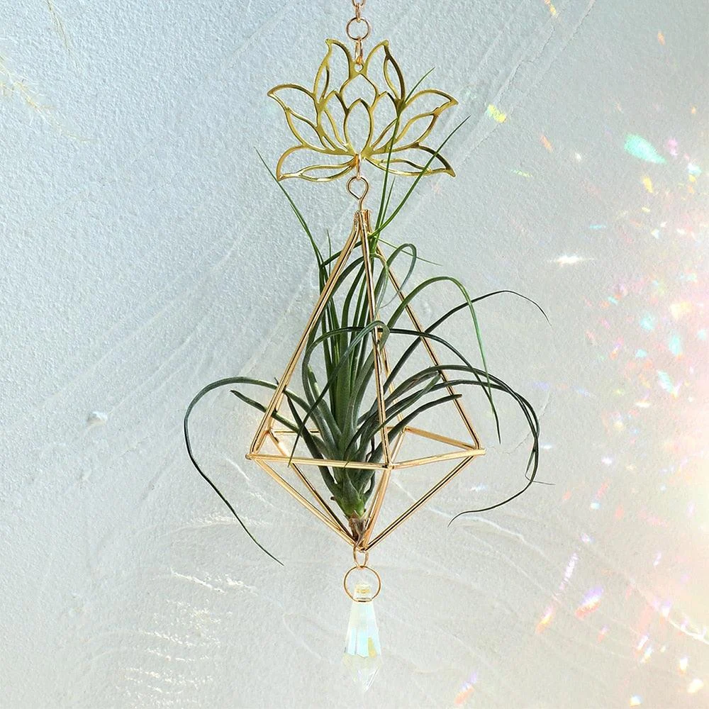 Lotus Plant Hanger Suncatcher - Glova