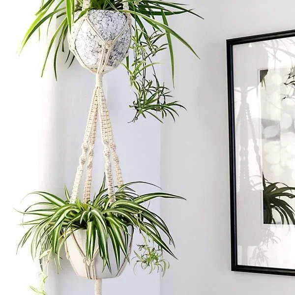 Macrame Plant Hangers Bundle - Glova