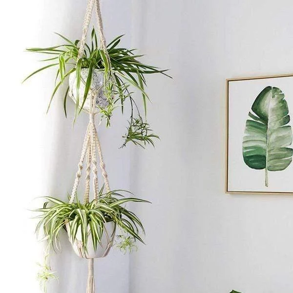 Macrame Plant Hangers Bundle - Glova