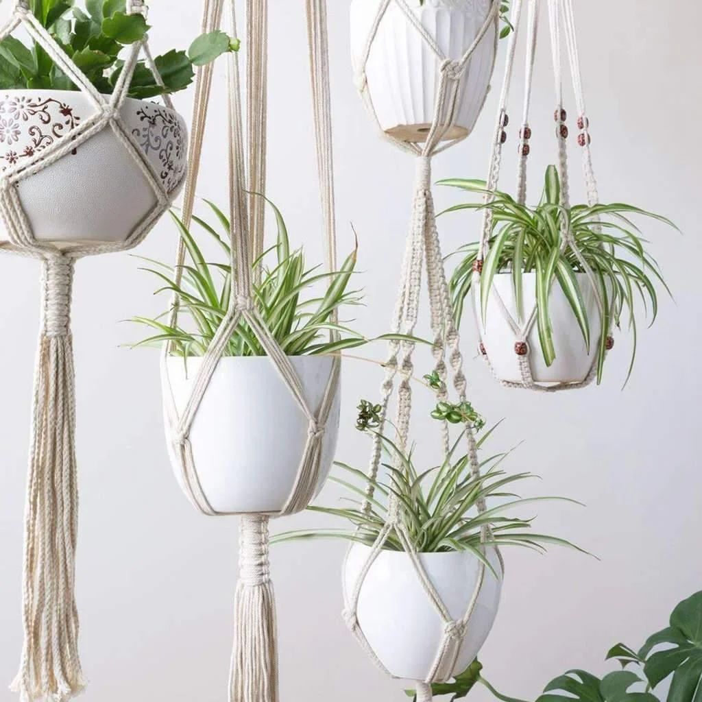 Macrame Plant Hangers Bundle - Glova