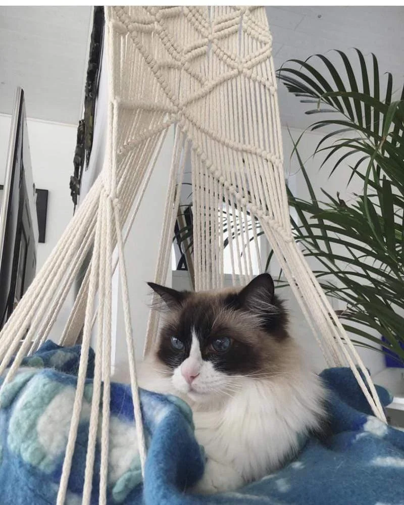 Macrame Wall Hanging Cat Bed - Glova