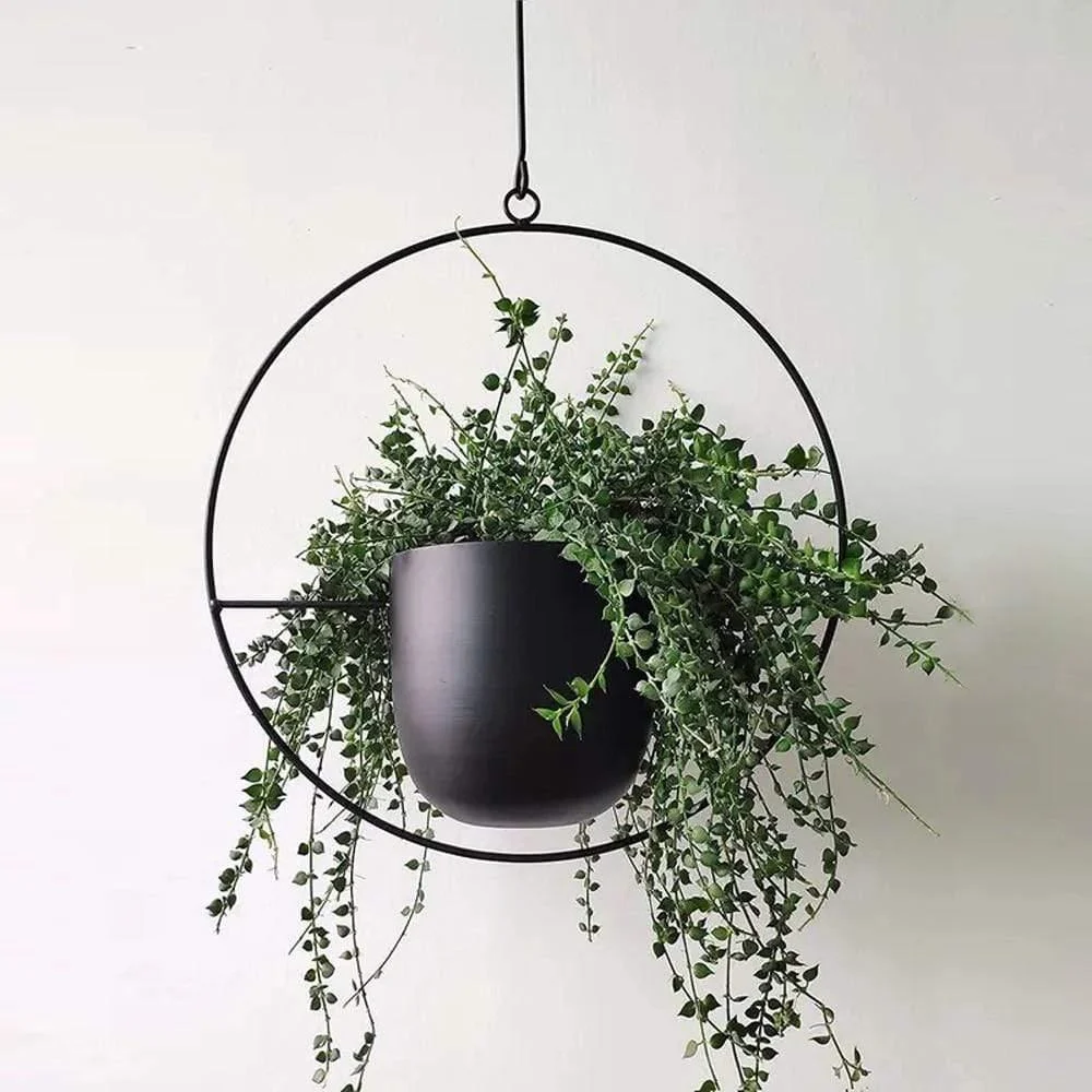 Metal Hanging Plant Pot - Glova