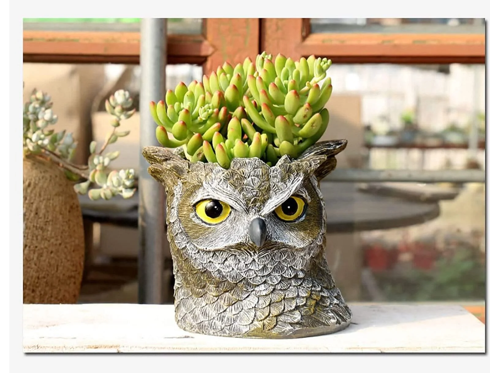 Monsters Planter Pots - Glova