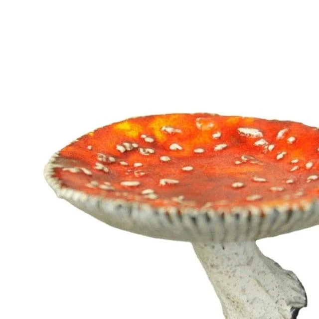 Mushroom Floating Shelf - Glova