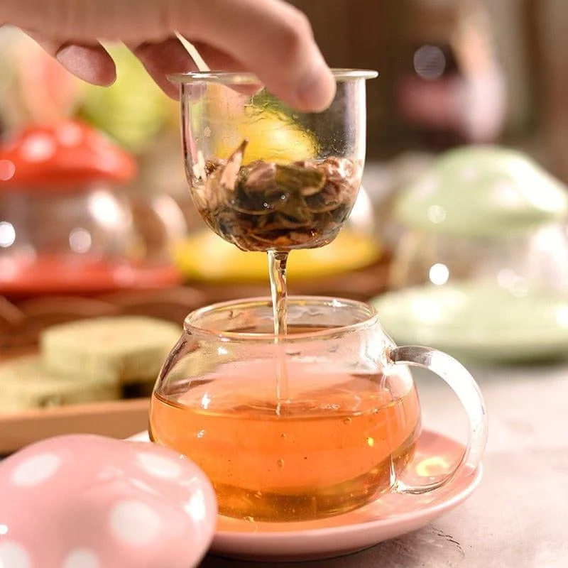 Mushroom Glass Mug with Cover & Saucer Set - Glova