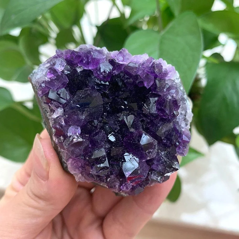 Natural Amethyst Cluster - Glova