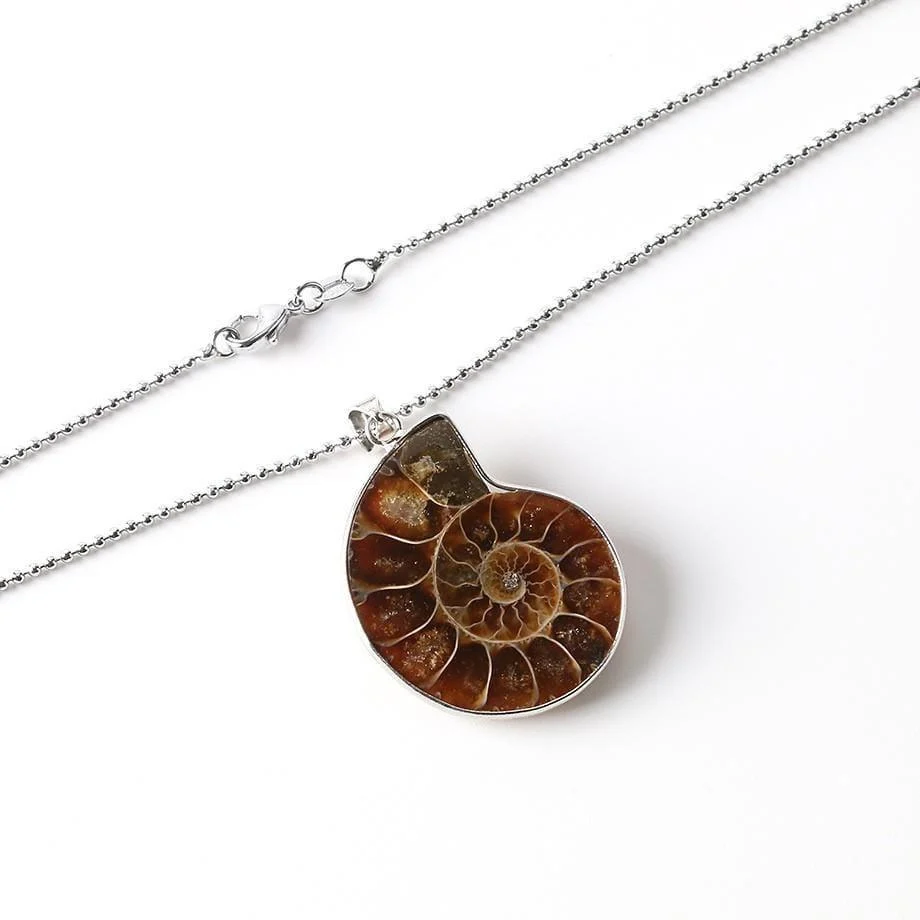 Natural Ammonite Snail Shell Necklace - Glova