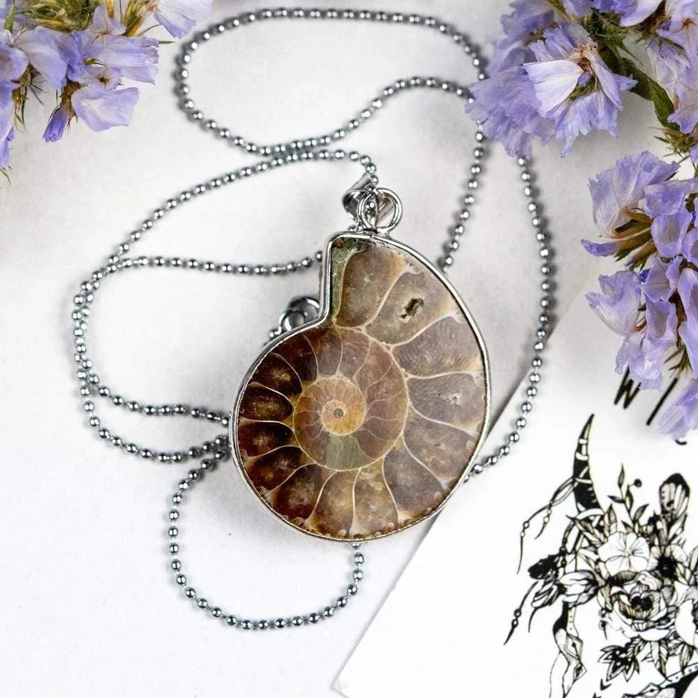 Natural Ammonite Snail Shell Necklace - Glova