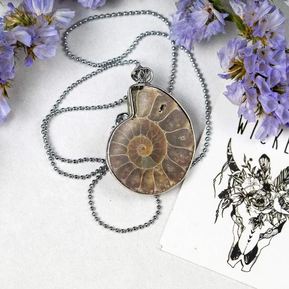 Natural Ammonite Snail Shell Necklace - Glova