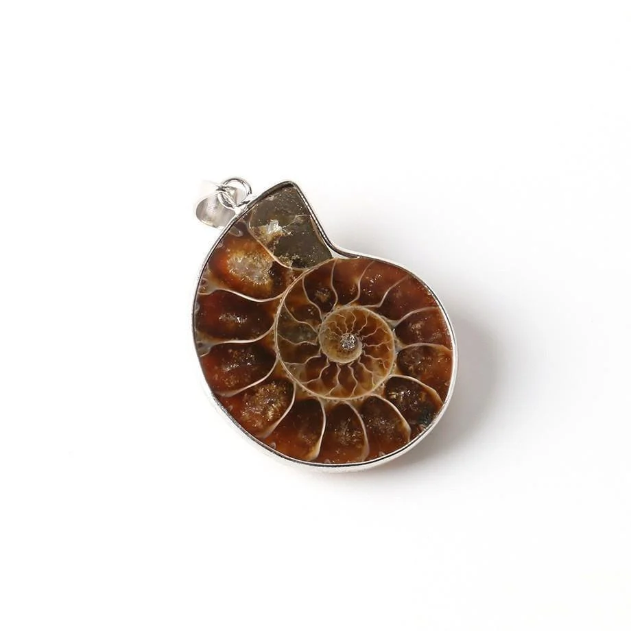 Natural Ammonite Snail Shell Necklace - Glova