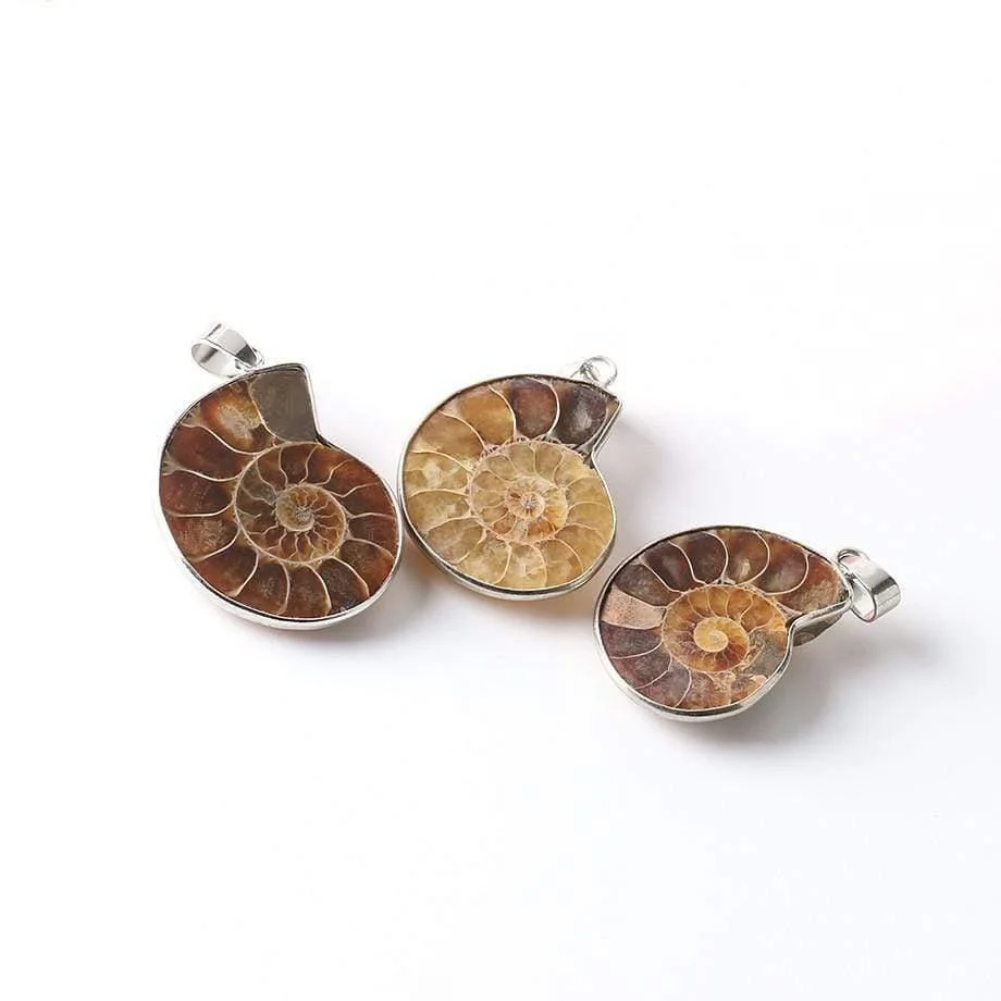 Natural Ammonite Snail Shell Necklace - Glova