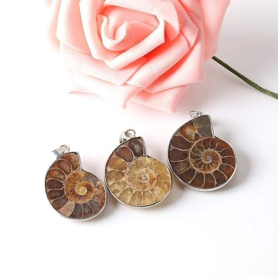 Natural Ammonite Snail Shell Necklace - Glova