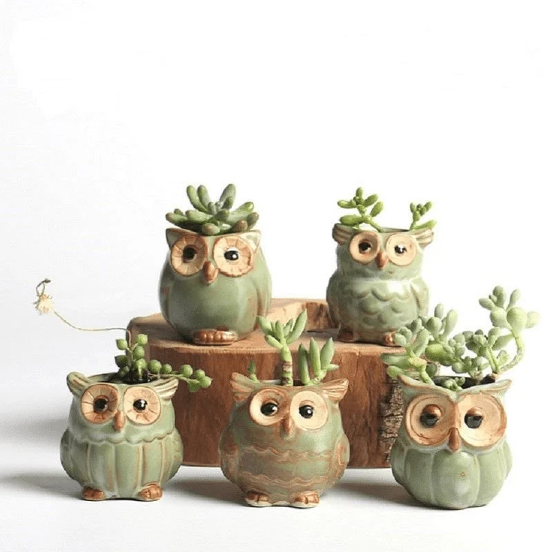 Owl Ceramic Flower Pot Set 5pcs - Glova