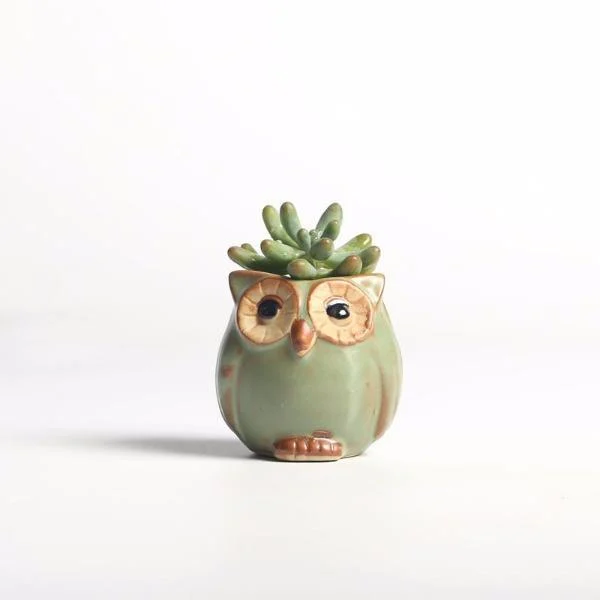 Owl Ceramic Flower Pot Set 5pcs - Glova