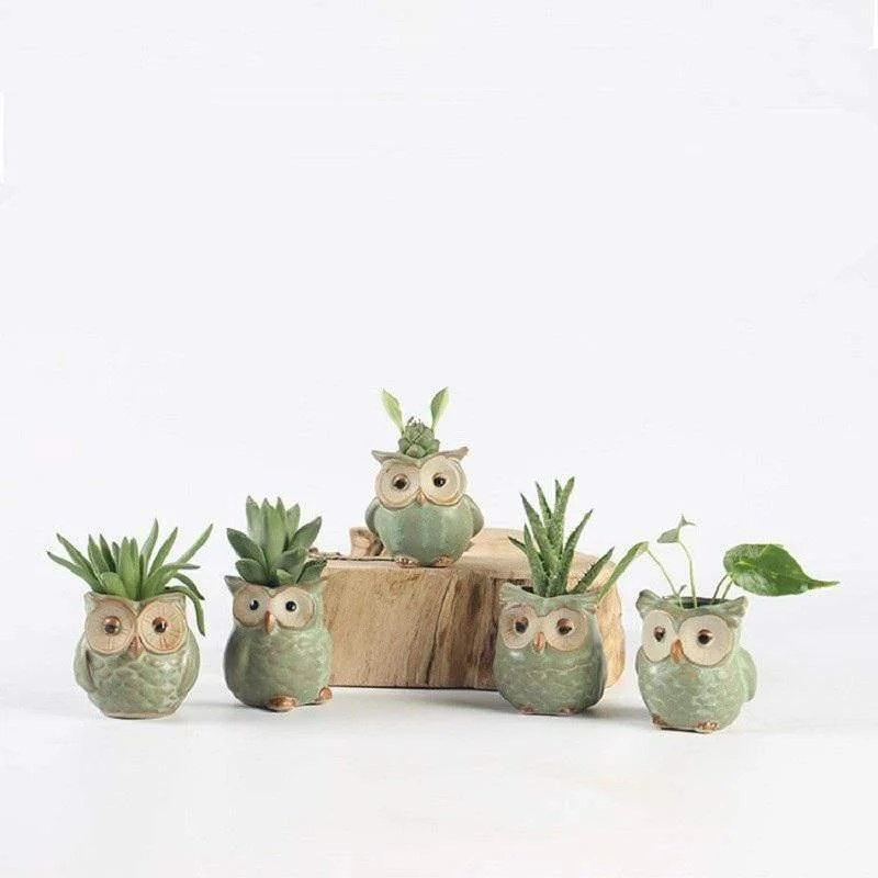 Owl Ceramic Flower Pot Set 5pcs - Glova