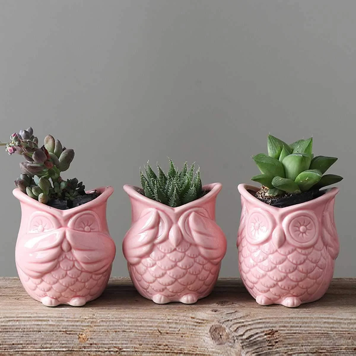 Peek-a-Boo Owl Pots - Glova