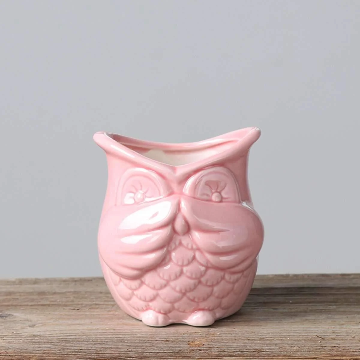 Peek-a-Boo Owl Pots - Glova