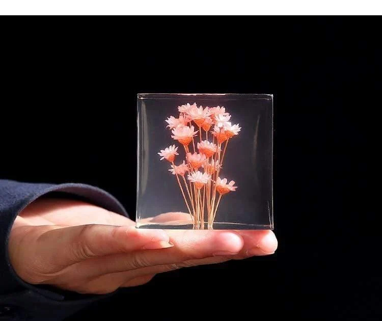 Preserved Flowers Crystals - Glova