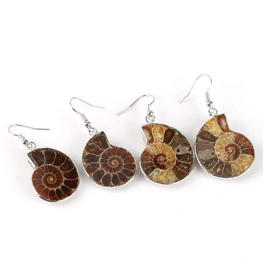 Seashell Fossils Drop Earrings - Glova