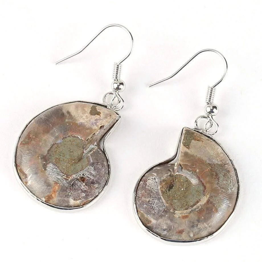 Seashell Fossils Drop Earrings - Glova