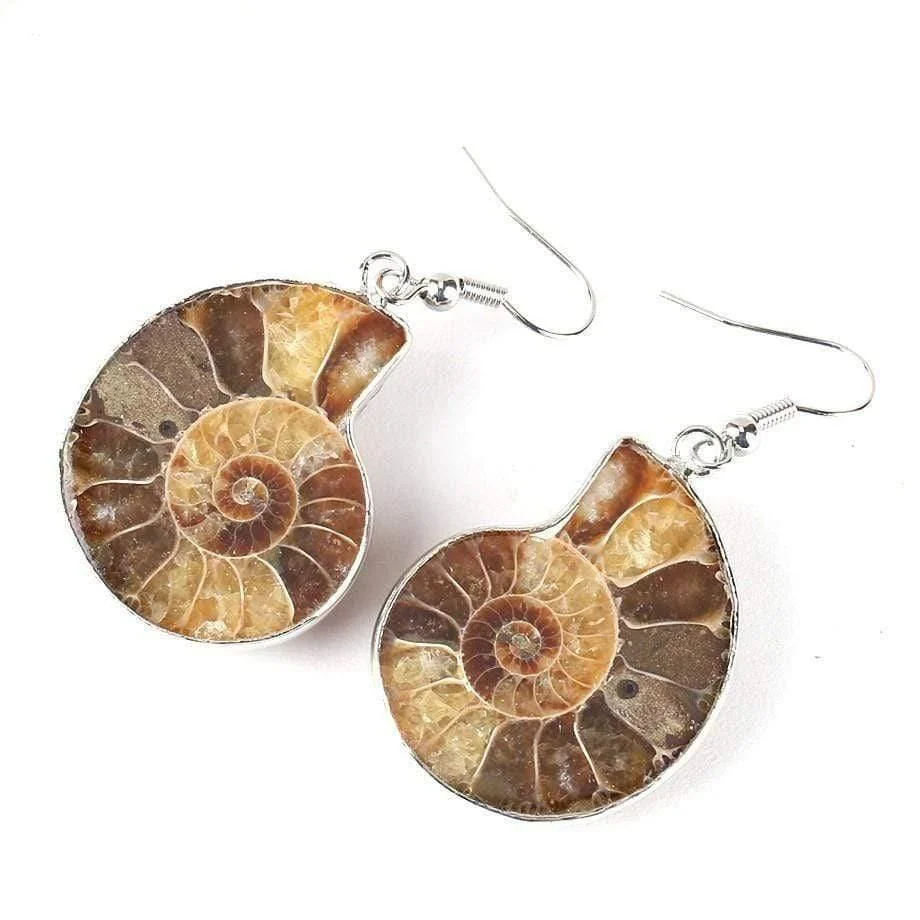 Seashell Fossils Drop Earrings - Glova