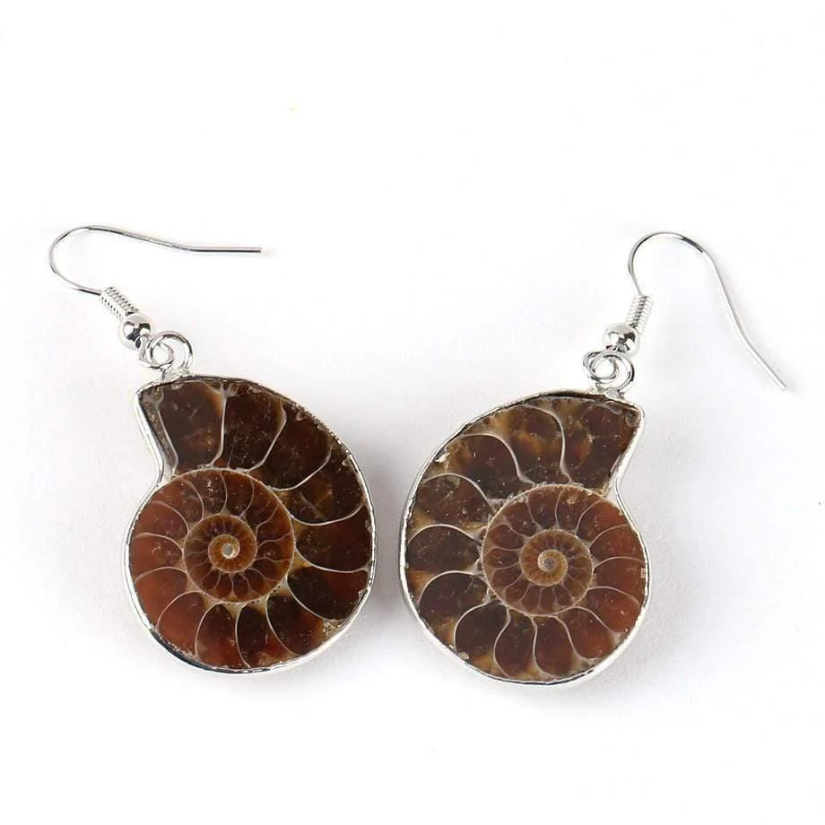 Seashell Fossils Drop Earrings - Glova