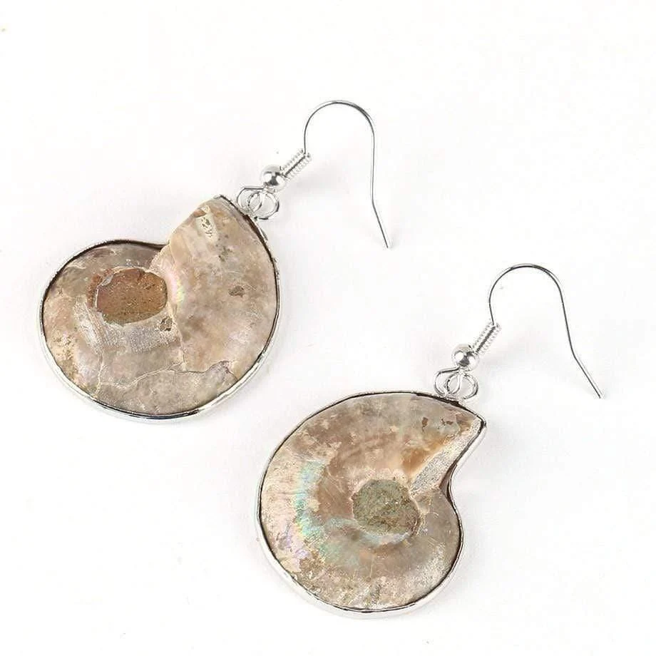 Seashell Fossils Drop Earrings - Glova