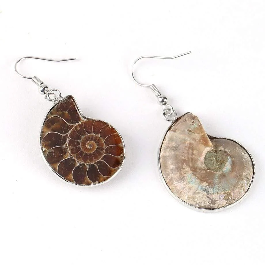 Seashell Fossils Drop Earrings - Glova