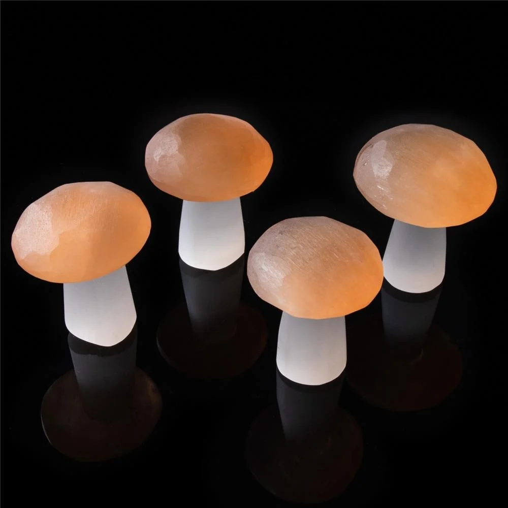 Selenite Mushroom Carving - Glova