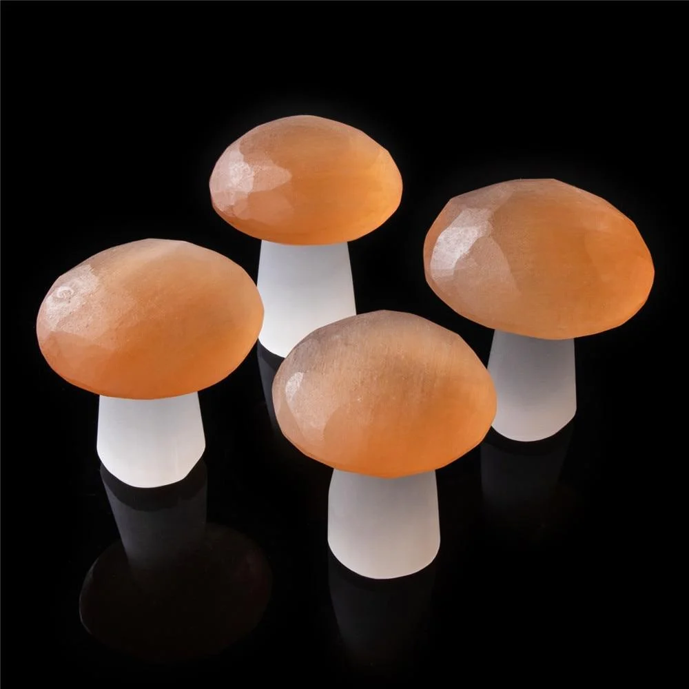 Selenite Mushroom Carving - Glova