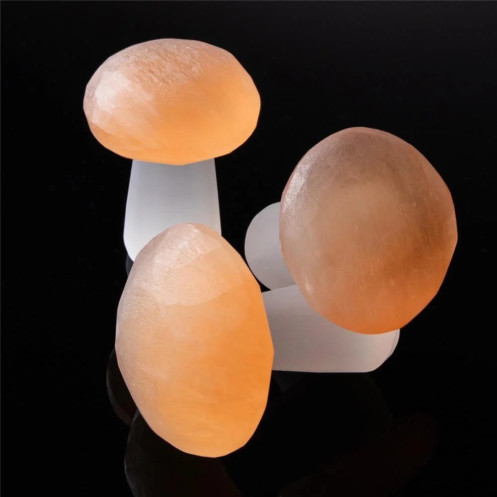 Selenite Mushroom Carving - Glova