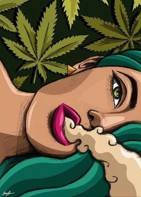 Stoner Girl Lifestyle Spray Paint Canvas Art - Glova