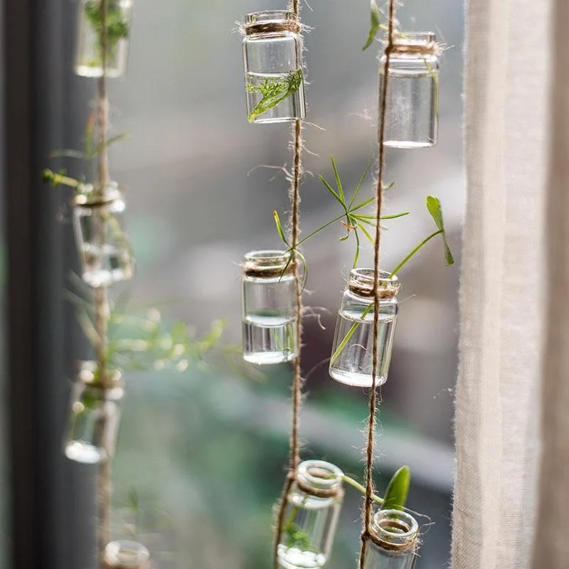 String Hanging Propagation Bottles - Glova