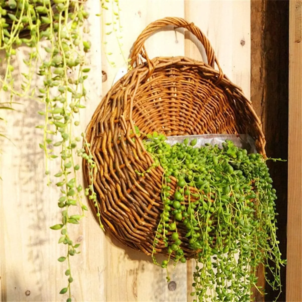 Wall Flower Basket - Glova