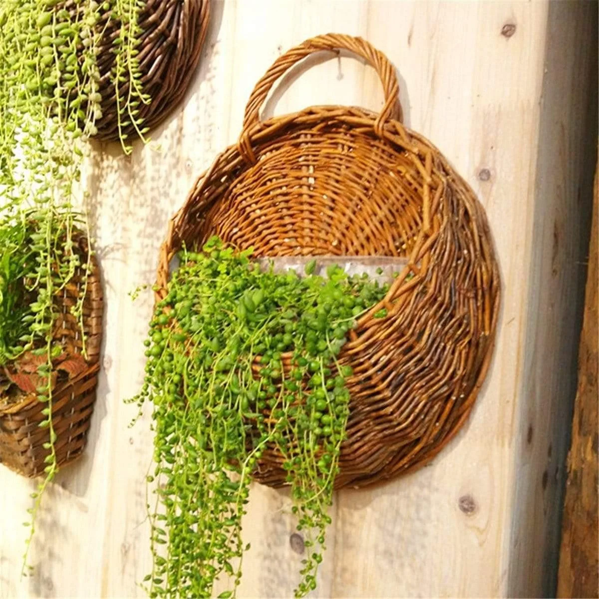 Wall Flower Basket - Glova