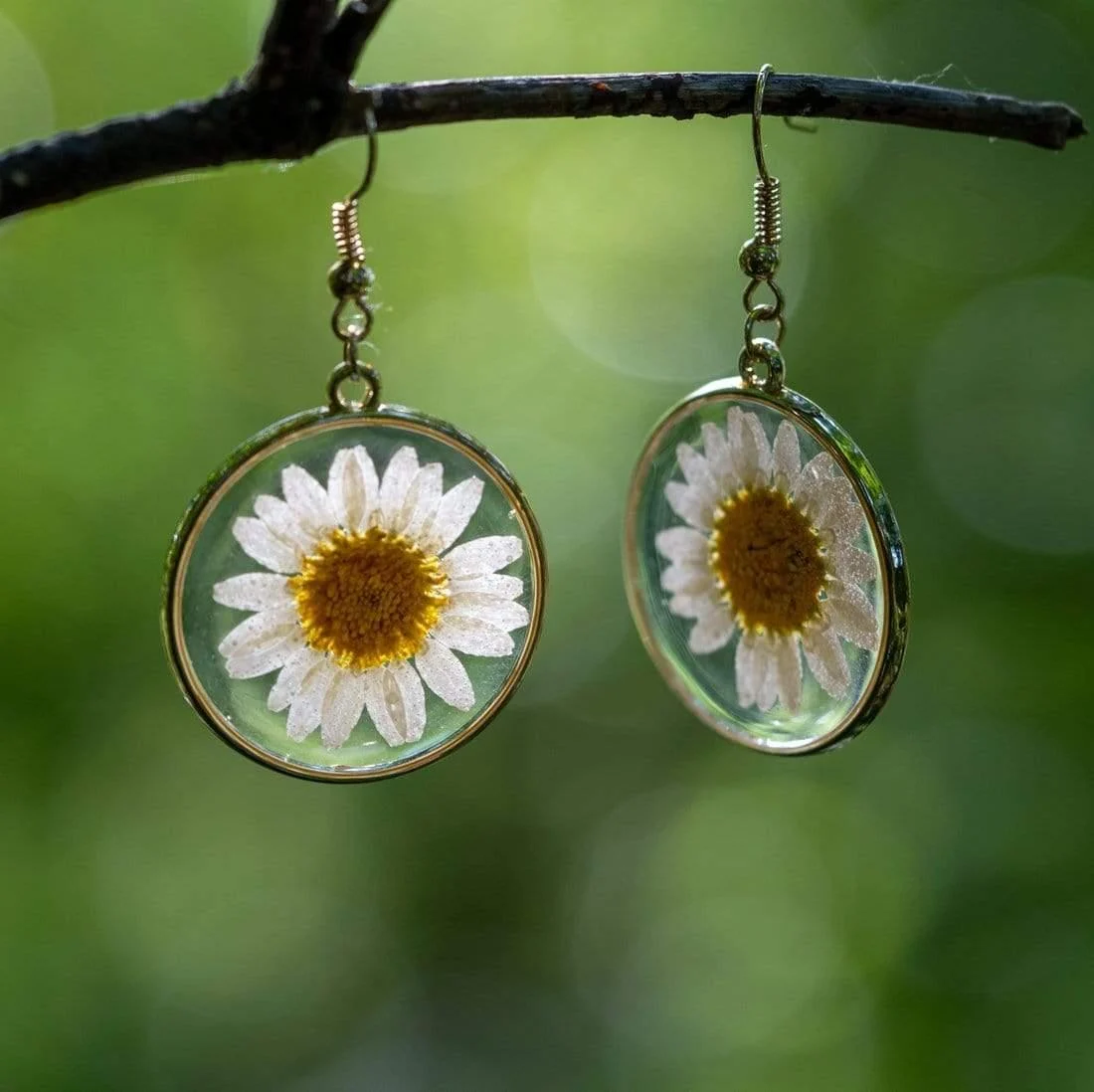 White Daisies Pressed Flower Earrings - Glova