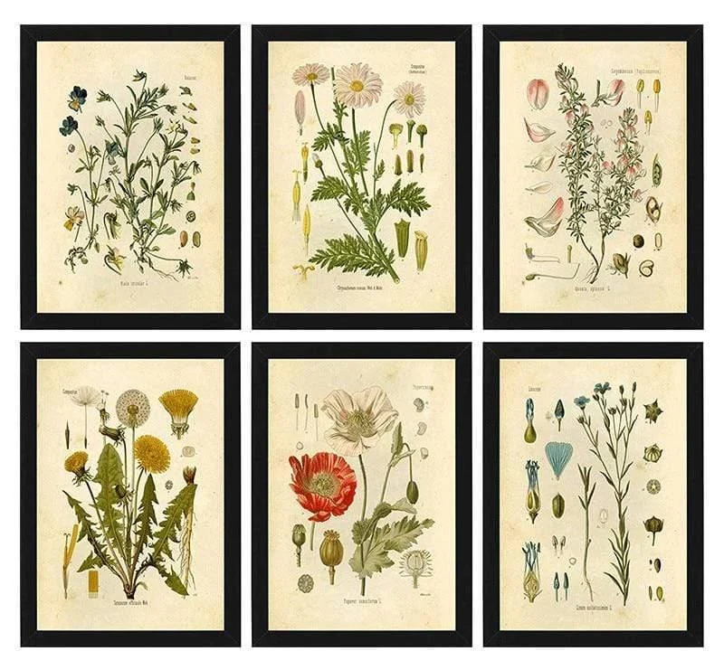 Wild Flowers Wall Art - Glova