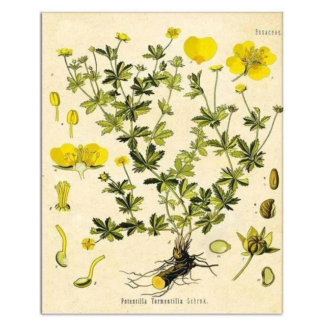 Wild Flowers Wall Art - Glova