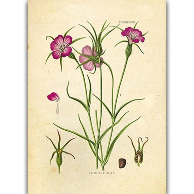 Wild Flowers Wall Art - Glova