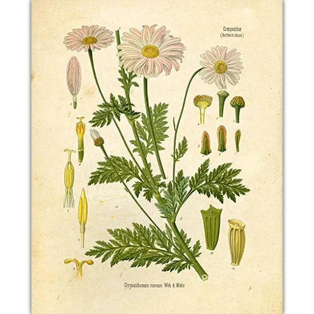 Wild Flowers Wall Art - Glova