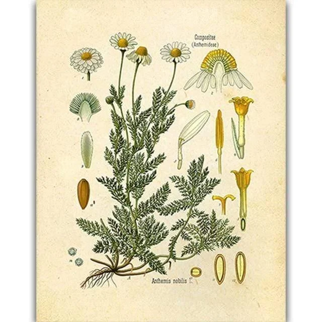 Wild Flowers Wall Art - Glova