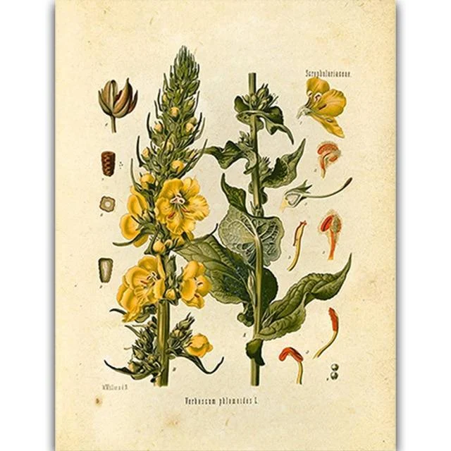 Wild Flowers Wall Art - Glova