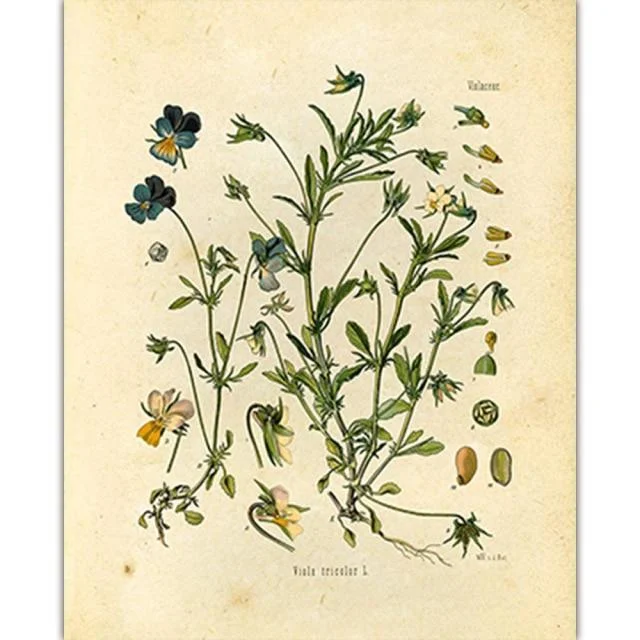 Wild Flowers Wall Art - Glova