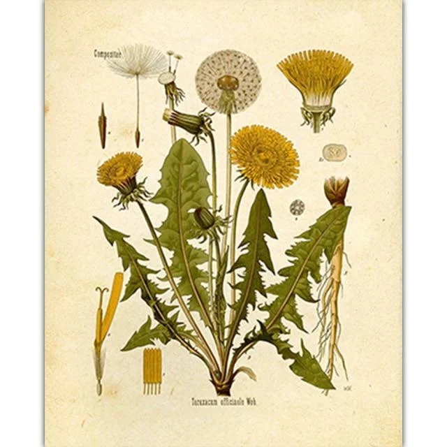 Wild Flowers Wall Art - Glova