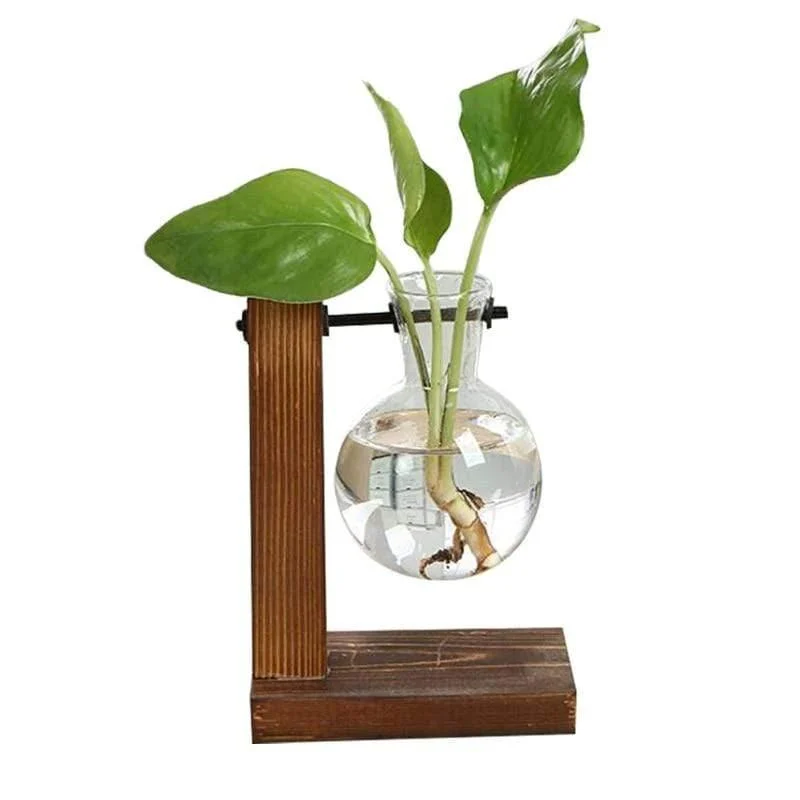 Terrarium Bulb Vase - Glova